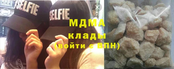 прущие грибы Бронницы