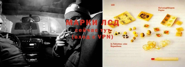 прущие грибы Бронницы