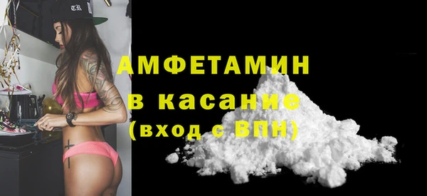 прущие грибы Бронницы