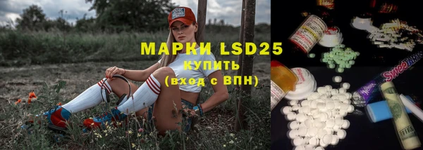 прущие грибы Бронницы
