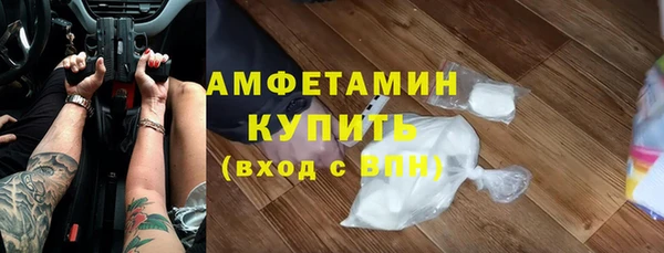 прущие грибы Бронницы